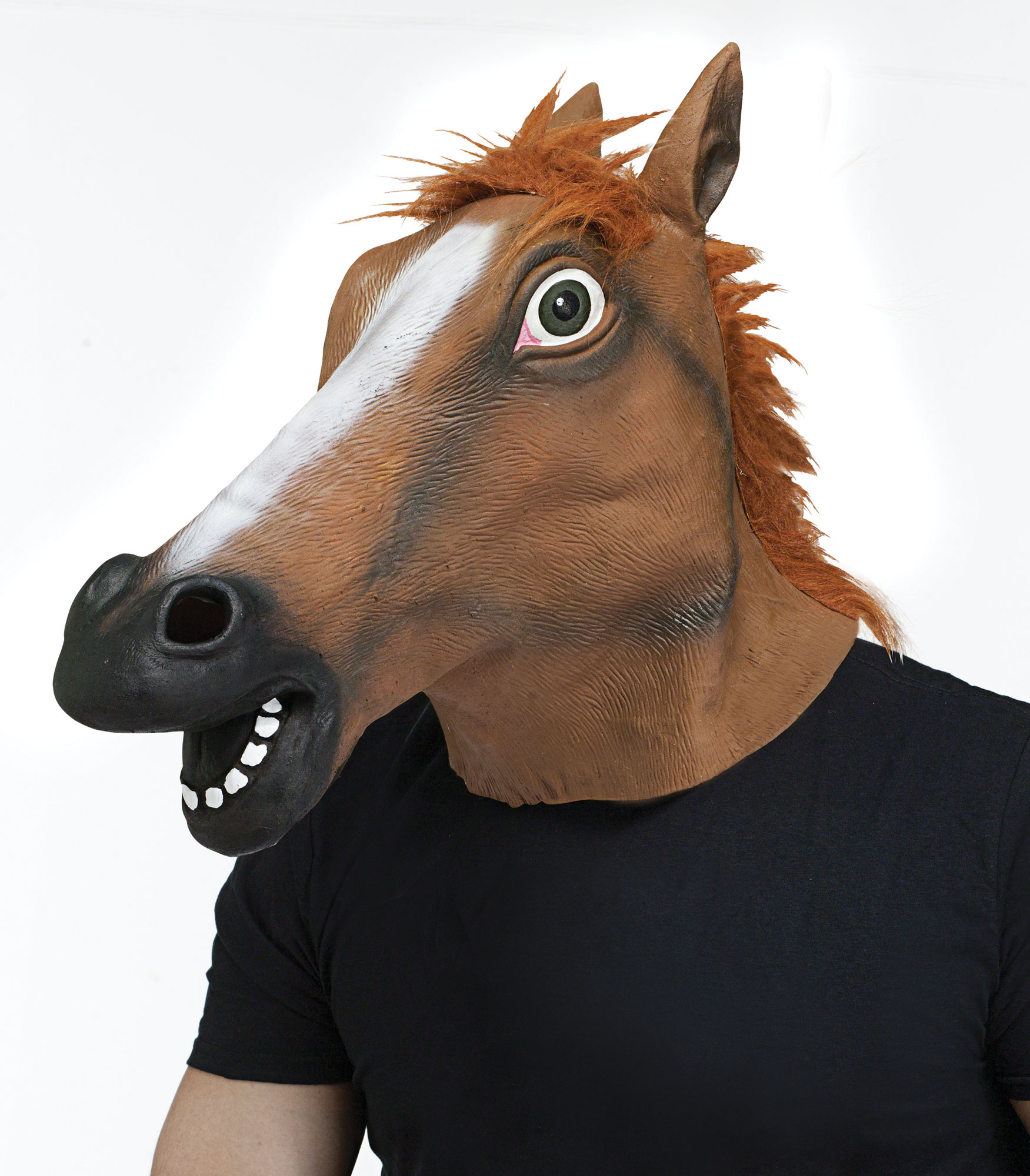 Horse Head Mask