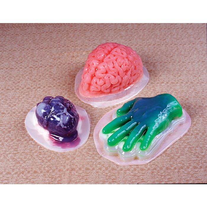 Play Brain Surgeon with a Brain Jello Mold - Left Brain Craft Brain