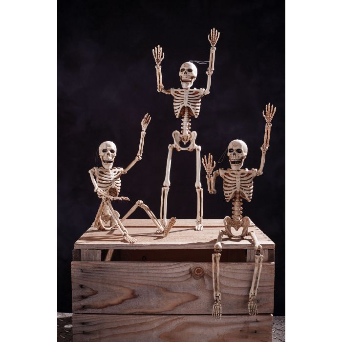 14" Posable Skeleton