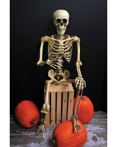 60” Articulated Natural Skeleton
