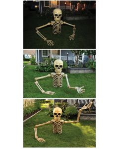 4' Posable Skeleton Grave Breaker™