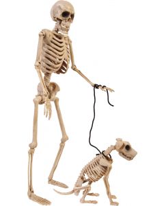 14" Skeleton Walker and Pet Assortment