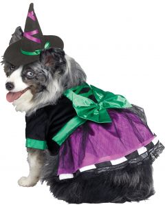 Doggie Witch Pet Costume